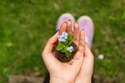 Une nouvelle approche pour protéger l’environnement et l’écologie