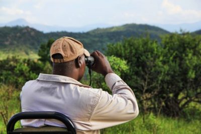 Voyage en Afrique : le top des activités à faire