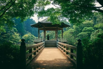 Les plus beaux parcs de Tokyo