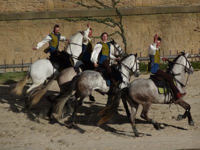 Séjour en camping à La Tranche-sur-Mer