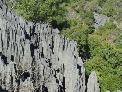 À la découverte du Tsingy de Bemaraha : un patrimoine mondial